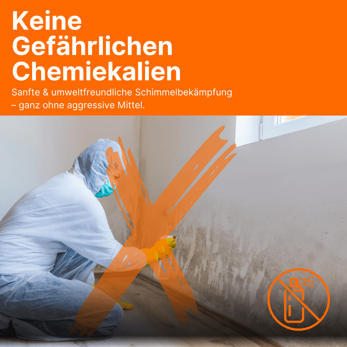 3x Sollero Schimmelentferner Effektiv gegen Schimmel – energiesparend von Sollero