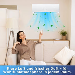Sollero Klimaanlagen Reiniger & Desinfektion (500ml) – energiesparend von Sollero